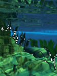 pic for Under water